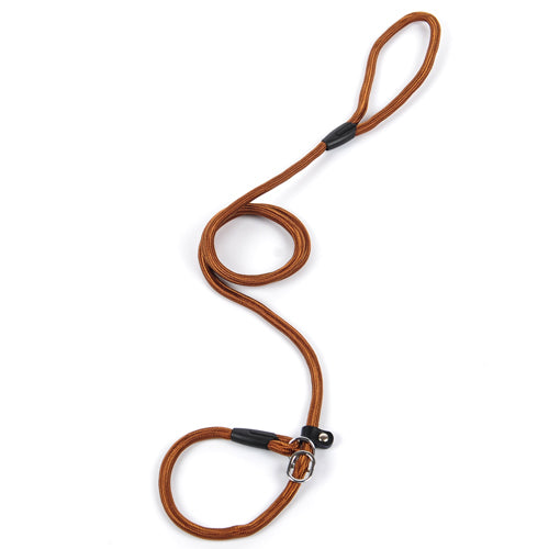 Enhance Your Daily Walks with Our Durable Pet Dog Leash