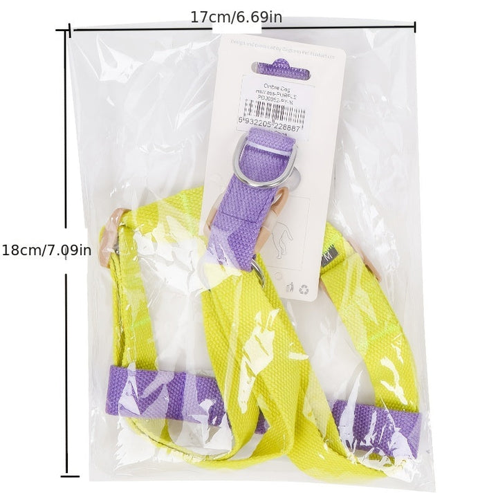 Unleash Adventure with the Rainbow Colorblock Pet Harness and Leash Set