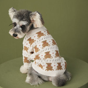 Cute Pet Jacket For Stylish Outdoor Comfort