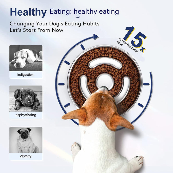 Why Your Pet Deserves the Stainless Steel Slow Feeding Bowl With Neck Protection