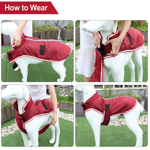Keep Your Pet Cozy and Stylish with Our Warm Waterproof Pet Jacket
