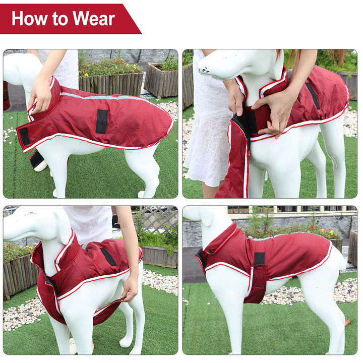 Keep Your Pet Cozy and Stylish with Our Warm Waterproof Pet Jacket