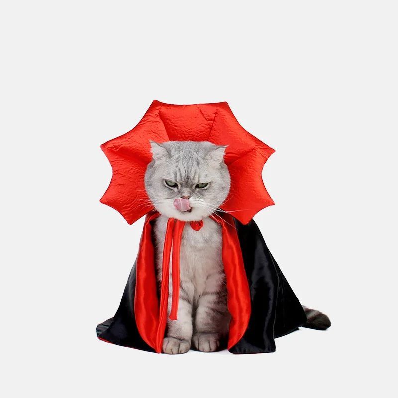 d23d7f8af3719f52c46eb441bf5a5ef